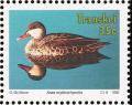 Colnect-1456-728-Red-billed-Teal-Anas-erythrorhyncha.jpg