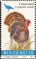 Colnect-1490-765-Domesticated-Turkey-Meleagris-gallopavo.jpg