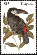 Colnect-1664-164-Channel-billed-Toucan-Ramphastos-vitellinus.jpg