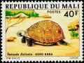 Colnect-2078-113-African-Spurred-Tortoise-Centrochelys-sulcata.jpg