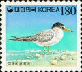 Colnect-2774-525-Little-Tern-Sterna-albifrons.jpg