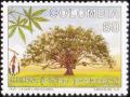 Colnect-3031-578-Kapok-tree-Ceiba-pentandra.jpg