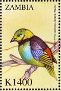 Colnect-3507-685-Green-headed-Tanager%C2%A0-%C2%A0Tangara-seledon.jpg