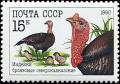 Colnect-4863-646-Domesticated-Turkey-Meleagris-gallopavo.jpg