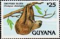 Colnect-4910-608-Two-toed-Sloth.jpg