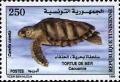 Colnect-558-750-Loggerhead-Turtle-Caretta-caretta-.jpg