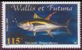 Colnect-900-231-Yellowfin-Tuna-Thunnus-albacares.jpg