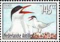 Colnect-966-920-Common-Tern%C2%A0Sterna-hirundo.jpg