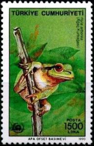 Colnect-753-423-European-Tree-Frog-Hyla-arborea.jpg