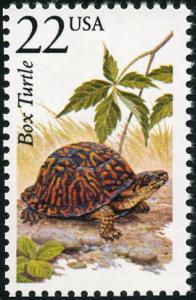 Colnect-5091-120-Common-Box-Turtle-Terrapene-carolina.jpg