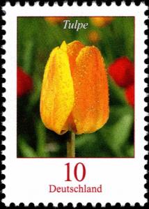 Colnect-5200-230-Tulipa---Tulip.jpg