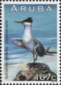 Colnect-6279-124-Cayenne-Tern-Sterna-eurygnatha.jpg