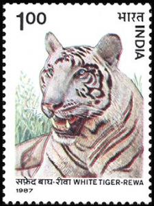 Colnect-2526-192-White-Tiger-Pantera-tigris.jpg