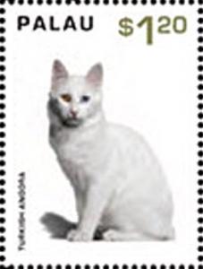 Colnect-4909-979-Turkish-Angora.jpg