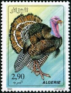 Colnect-2498-726-Domesticated-Turkey-Meleagris-gallopavo.jpg