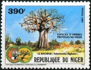 Colnect-1008-708-Protected-species-of-trees-in-Niger---Adansonia-digitata.jpg