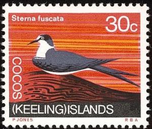 Colnect-1103-421-Sooty-Tern-Sterna-fuscata.jpg