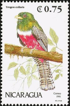 Colnect-1393-422-Collared-Trogon%C2%A0Trogon-collaris.jpg