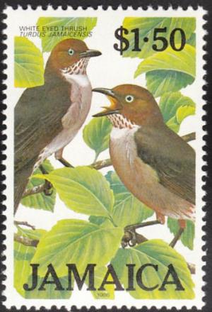 Colnect-1506-956-Whte-eyed-Trush-Turdus-jamaicensis.jpg