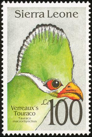 Colnect-1617-954-Yellow-billed-Turaco-Tauraco-macrorhynchus.jpg