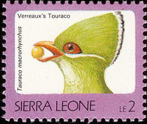 Colnect-1617-988-Yellow-billed-Turaco-Tauraco-macrorhynchus.jpg