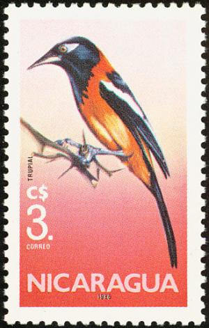 Colnect-1624-515-Venezuelan-Troupial-Icterus-icterus.jpg