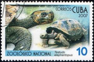 Colnect-1725-670-Galapagos-Giant-Tortoise-Testudo-elephantopus.jpg