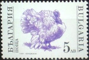 Colnect-1813-992-Domesticated-Turkey-Meleagris-gallopavo.jpg