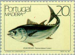 Colnect-186-239-Bigeye-Tuna-Thunnus-obesus.jpg