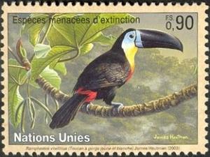 Colnect-2106-687-Channel-billed-Toucan-Ramphastos-vitellinus.jpg