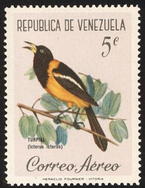 Colnect-2287-704-Venezuelan-Troupial-Icterus-icterus.jpg