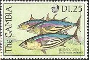 Colnect-2338-556-Skipjack-Tuna-Euthynnus-pelamis.jpg