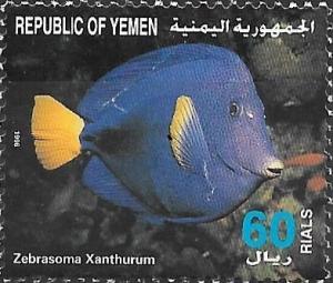 Colnect-2436-803-Yellowfin-Tang-Zebrasoma-xanthurum.jpg