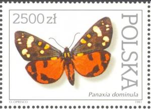 Colnect-2591-194-Scarlet-Tiger-Panaxia-dominula.jpg