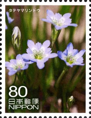 Colnect-3048-648-Gentiana-thunbergii-forma-minor.jpg