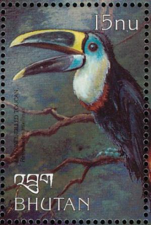 Colnect-3385-970-Channel-billed-Toucan-Ramphastos-vitellinus.jpg