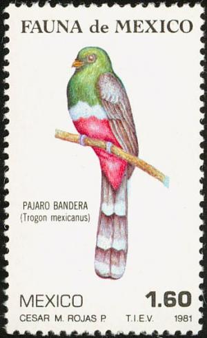 Colnect-3613-544-Mountain-Trogon-Trogon-mexicanus.jpg