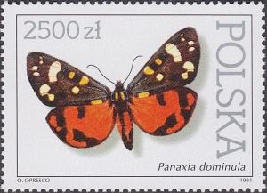 Colnect-4701-537-Scarlet-Tiger-Panaxia-dominula.jpg