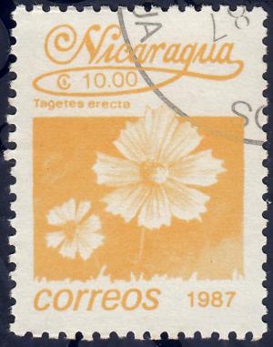 Colnect-4755-541-Tagetes-erecta.jpg