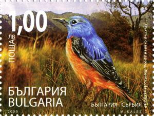 Colnect-5051-441-Common-Rock-Thrush-Monticola-saxatilis.jpg