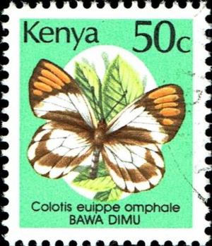 Colnect-5247-187-Smoky-Orange-Tip-Colotis-euippe-omphale.jpg