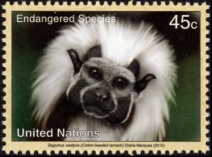 Colnect-5389-198-Cottontop-Tamarin-Saguinus-oedipus.jpg