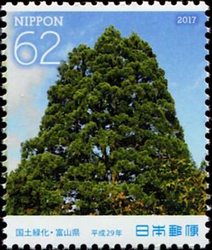 Colnect-5462-307-Tateyama-Cedar.jpg