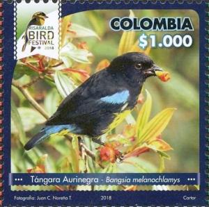 Colnect-5965-091-Black-and-gold-Tanager-Bangsia-melanochlamys.jpg