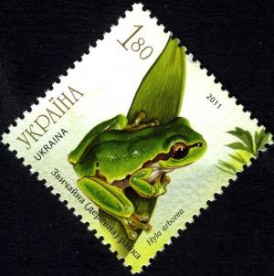 Colnect-944-552-European-Tree-Frog-Hyla-arborea.jpg