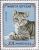 Colnect-905-857-British-Silver-Tabby-Felis-silvestris-catus.jpg