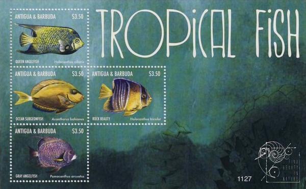 Colnect-5219-323-Tropical-Fish.jpg