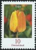 Colnect-2964-046-Tulipa---Tulip.jpg