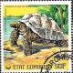 Colnect-2553-337-Galapagos-Giant-Tortoise-Testudo-elephantopus.jpg