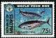 Colnect-3033-123-Skipjack-Tuna-Euthynnus-pelamis.jpg